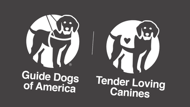 Guide Dogs of America